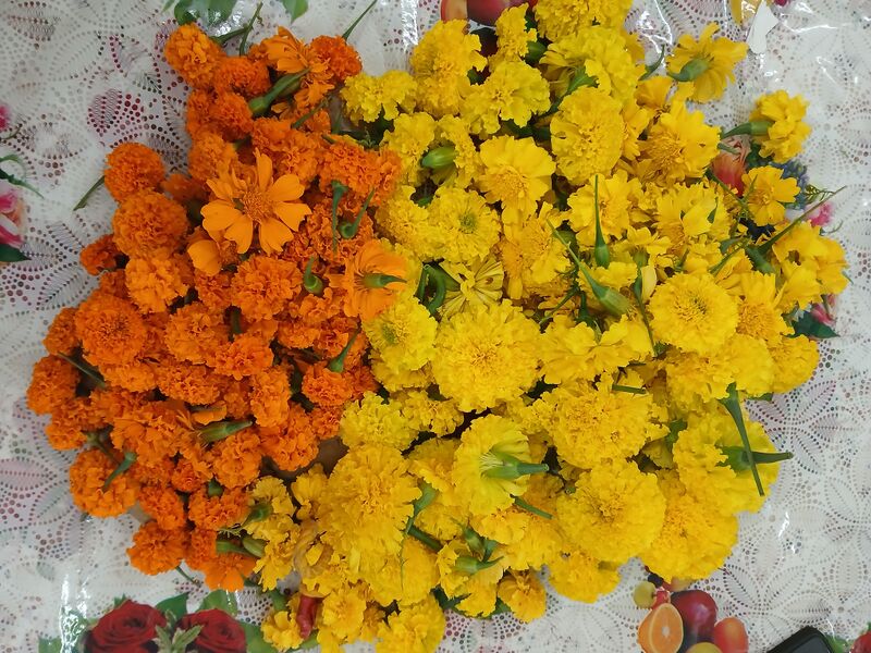 പ്രമാണം:42611 Vilavedup.jpg