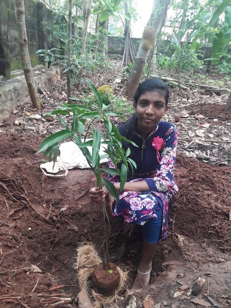 പ്രമാണം:44050 eco 45.jpeg