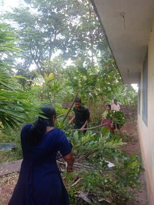 BS21 PTA 37259 5.jpg