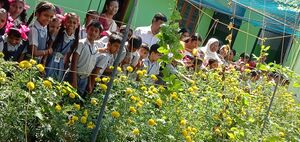 Collecting flowers 1.jpg