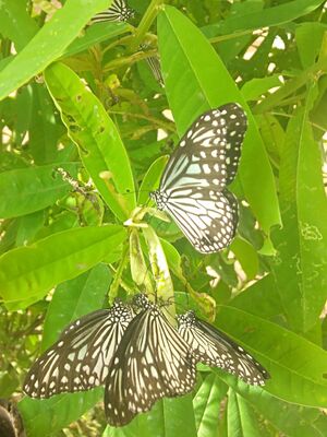 IMG 20210820 160938.jpg