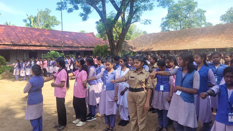 പ്രമാണം:Little kitesfreedom fest assembly.jpg