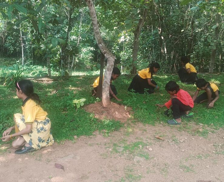 പ്രമാണം:Nss 20241030113752.jpg