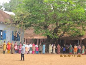 PVS 27012017 (23).JPG