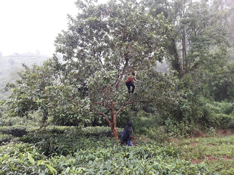 പ്രമാണം:15016 yt84.jpg