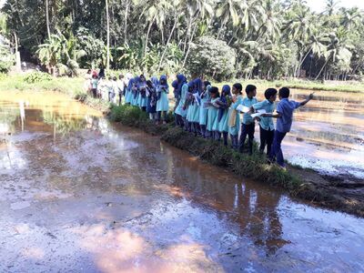 ഫീൽഡ് ട്രിപ്പ്-പാടത്തേക്ക്