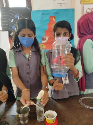 19441-science fair7.jpg