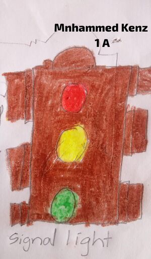 19845-MLP-KUNJ-MOHAMMED KENZ.jpeg