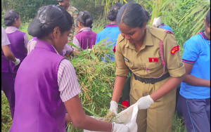 34024 NCC 2025-26 AS Canal.png