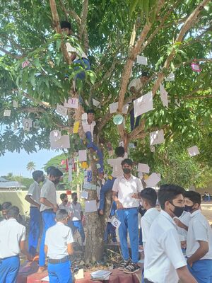 35052 vayanadinam mihs 22 (2).jpeg