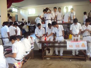 Scfair 35052 (1).JPG