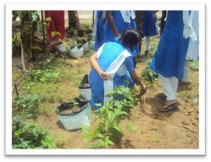 Teachers day 16 35052 (7).jpg