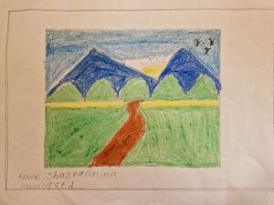 11296-KGD-KUNJ-SHAZNA AMINA.jpg