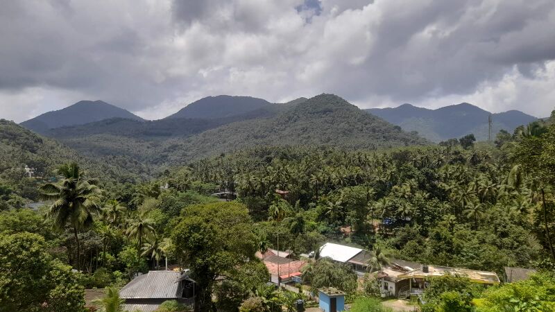 പ്രമാണം:13045 NATURE.jpg