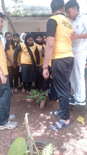 14018 paristhithidhinam planting.jpeg