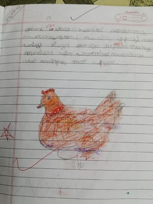 15074-WYD-KUNJ MUHAMMED RISHAL.jpeg