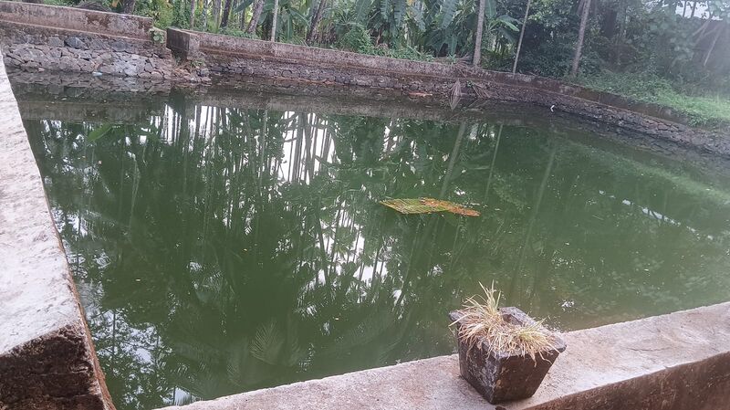 പ്രമാണം:18553 rmklm.jpeg