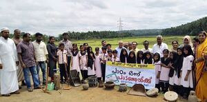 19833 nellu dinam 1.jpg