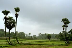 21308 Palakkad.jpg