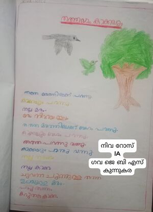 25402-EKM-KUNJ-Niva Rose.jpeg.jpeg