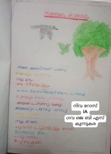 പ്രമാണം:25402-EKM-KUNJ-Niva Rose.jpeg.jpeg