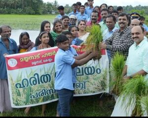 41048 HARVESTING FESTIVAL.jpeg