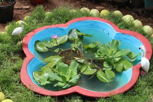 44055 ppondbutteer.resized.JPG