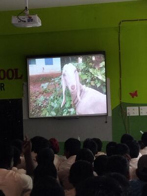 44243 23basheer1.jpg