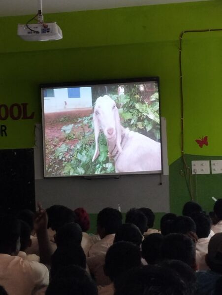 പ്രമാണം:44243 23basheer1.jpg