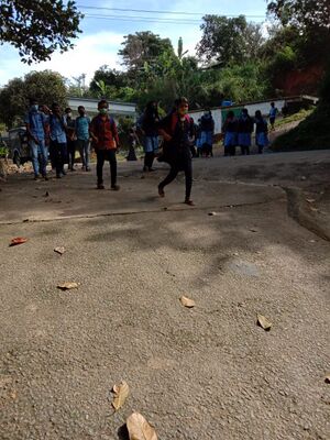 BS21 PKD 21088 5.jpg