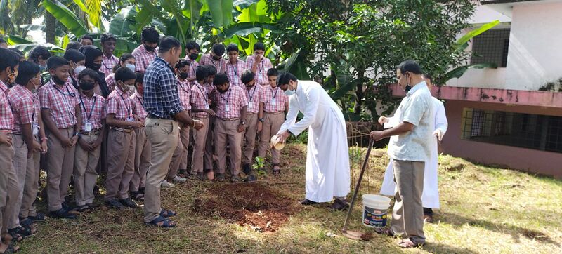 പ്രമാണം:Gandhi maram 1.jpg