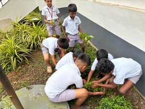 St george school 4 code 45302-min.jpeg