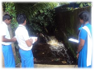 Suarvey 16 35052 (2).jpg