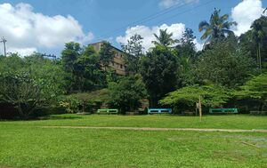 15035image2.jpg