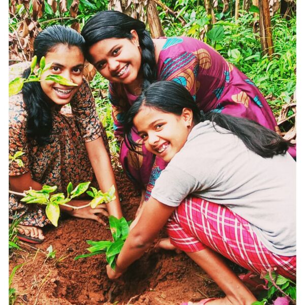 പ്രമാണം:15051 tree plant.jpg