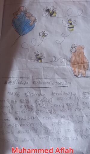 18633-mlp-kunj-Muhammed Aflah.jpg