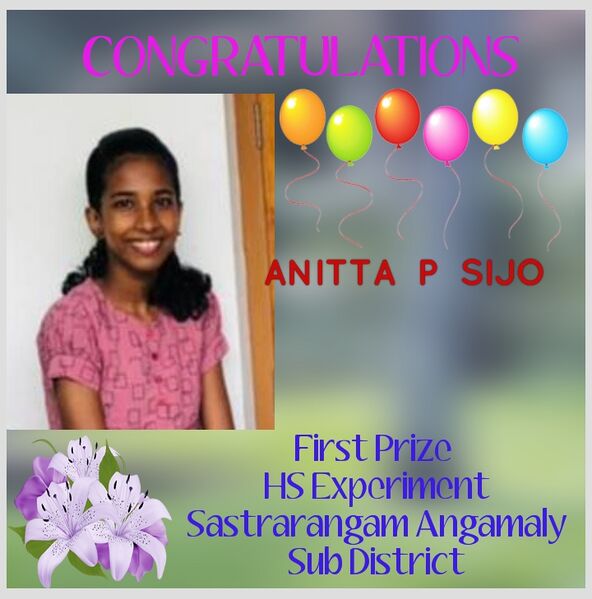 പ്രമാണം:25041 105 winners.jpeg