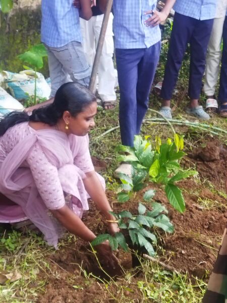 പ്രമാണം:29007 2008.jpeg