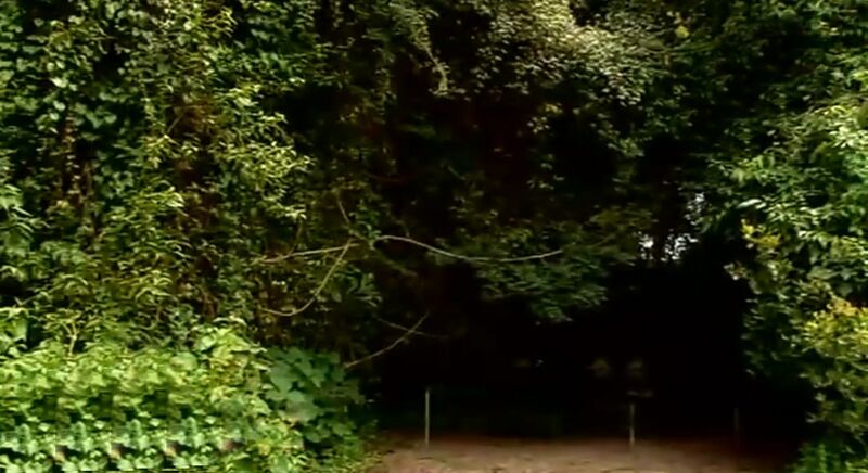 പ്രമാണം:29312 kurinjikkavu3.jpg