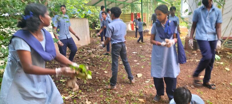 പ്രമാണം:33027 dryday2.jpeg