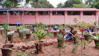 പ്രകൃതിസൗഹൃദം