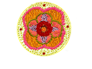 41008 klm dp2019 1.png