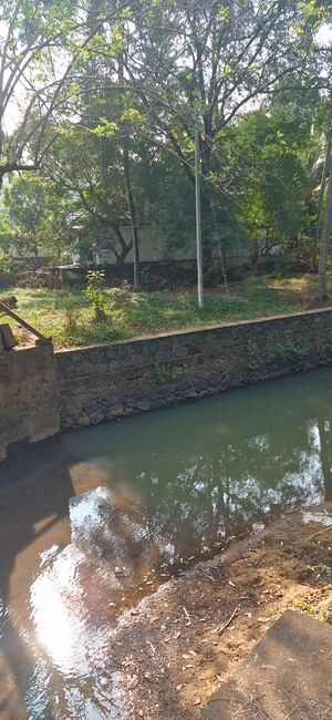 48435 pandippuzha.jpg