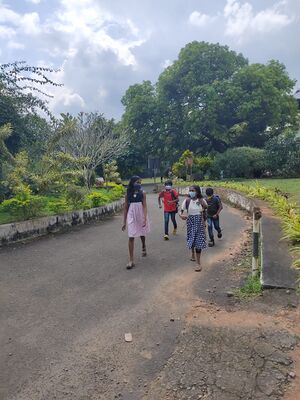 BS21 EKM 27003 1.jpg