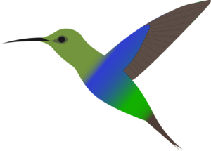 Bird3.png