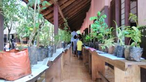 12070-Oushadha chedikal 2.jpg