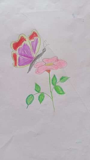 13003-KNR-AMAYA RAJEESH.jpeg