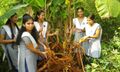 11:56, 21 ജനുവരി 2022-ലെ പതിപ്പിന്റെ ലഘുചിത്രം