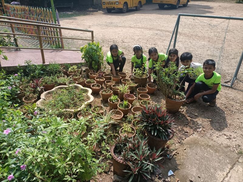 പ്രമാണം:21706 seed 24 .jpg