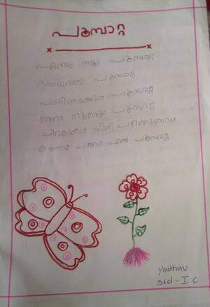 24668-TSR-Fathimat shenza.jpg